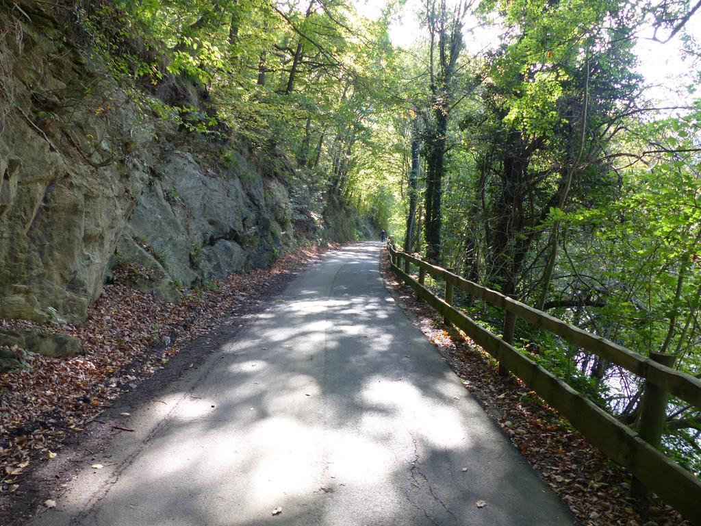 Ferienhaus Fischbachtal Heimbach Exteriör bild